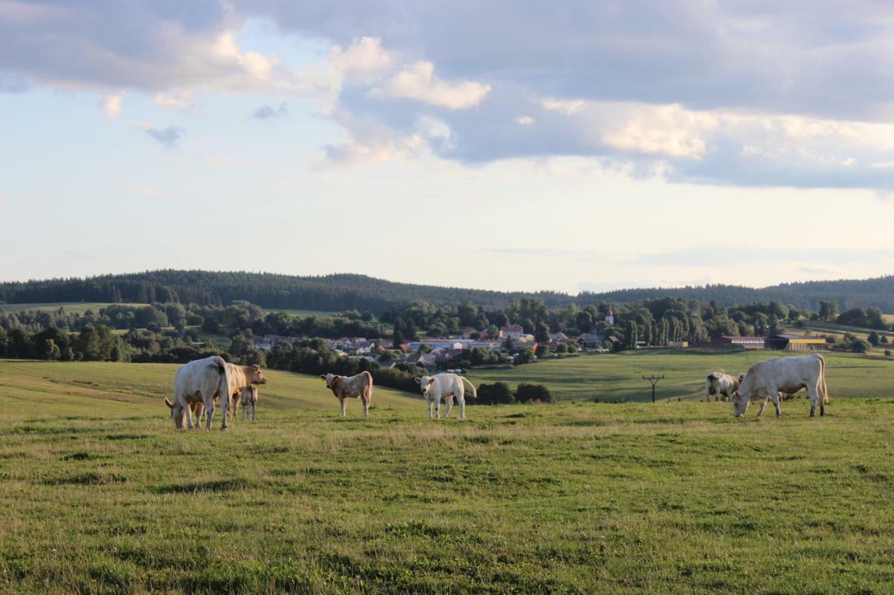 Ctyri Pokoje Tachov  Extérieur photo